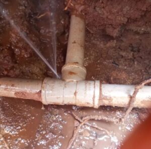 WhatsApp Image 2026-01-05 at 16.55.00